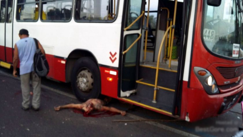 【閲覧注意】大型バスに轢かれた人間の体がコレ。(画像)・2枚目