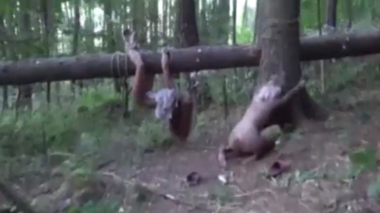 【閲覧注意】森に女性の遺体を2体放置したキチガイの死姦記録映像・・・・2枚目