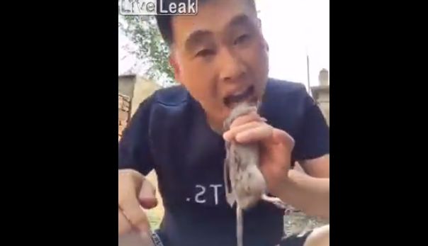 【キチ○イ】中国人ニキのネズミ踊り食い、マジでコイツ頭おかしいだろ・・・・・(画像、動画)・2枚目