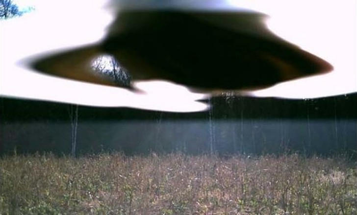 【恐怖】狩猟用モーションセンサーカメラに映った物体、ガチで怖過ぎだろ・・・・・(画像)・11枚目