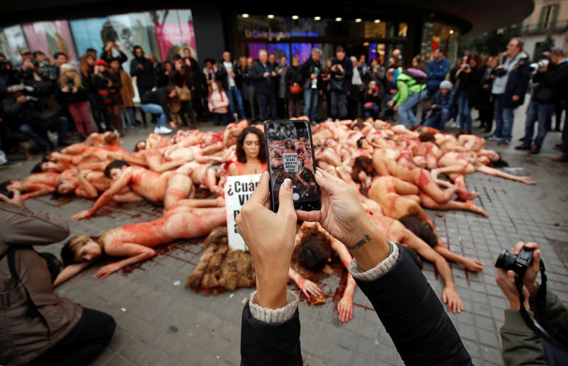 【キチ●イ】動物保護団体さん、相変わらず意味の分からない抗議で世間を騒がせる・・・・・(画像)・14枚目