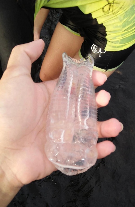 【オナホ生物】フィリピンの海岸に打ち上げられた正体不明の生物、完全にオナホだコレｗｗｗｗｗｗｗ(画像)・3枚目