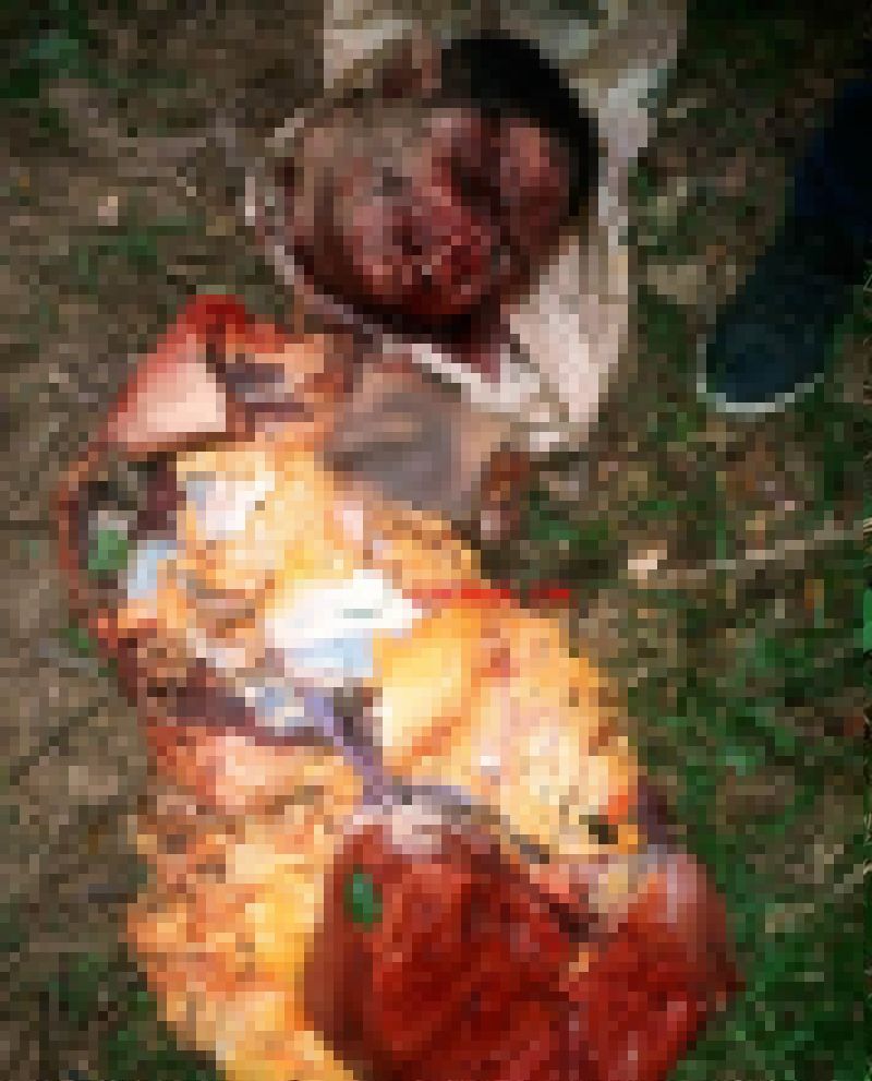 【グロ注意】ブラジルギャングさん、対立グループに拉致され食肉ばりにバラバラに解体される・・・・・(画像)・2枚目