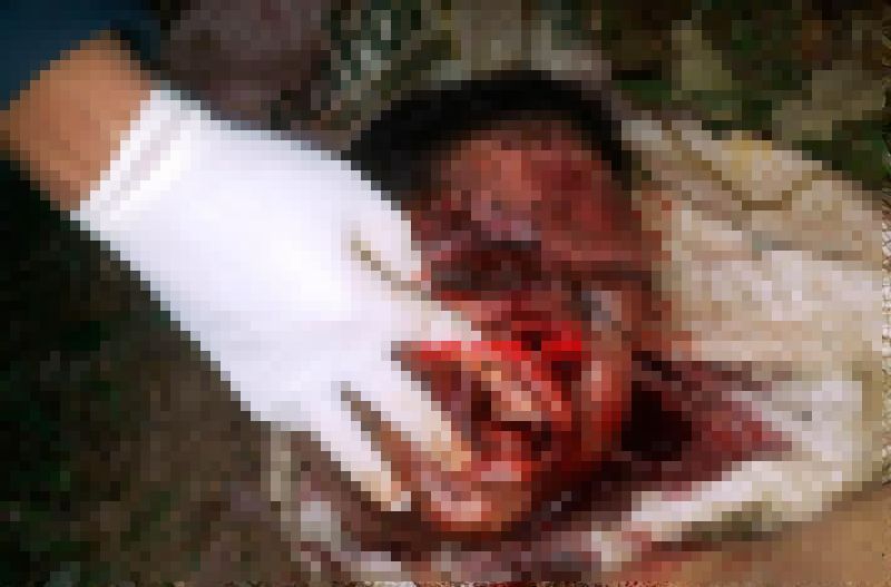 【グロ注意】ブラジルギャングさん、対立グループに拉致され食肉ばりにバラバラに解体される・・・・・(画像)・3枚目