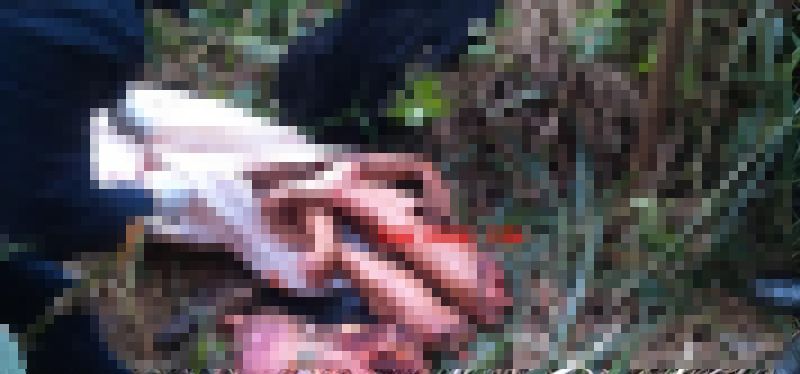 【グロ注意】ブラジルギャングさん、対立グループに拉致され食肉ばりにバラバラに解体される・・・・・(画像)・6枚目