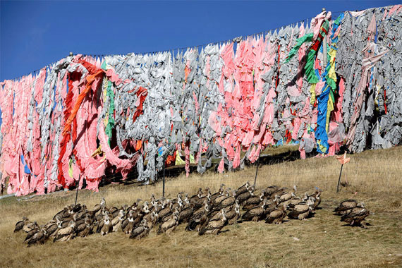 【グロ注意】チベットに今も伝わる鳥葬、文化としてはともかく見た目がグロい・・・・・(画像)・3枚目