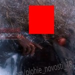 【自然の掟】氷点下10℃以下の極寒の山で遭難した男性、見事に露出部分だけ野生動物に荒らされる・・・・(画像)