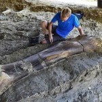 【ロマン】フランスで発掘された巨大な恐竜の大腿骨、足一本の膝下だけで重量500㎏とか！！