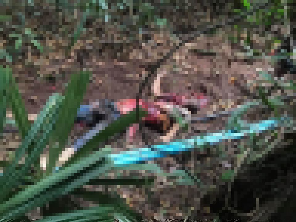 【プチュン！！】タイのジャングルで野生の象に踏み潰された青年、色々中身が飛び出してしまう・・・・・（画像あり）・1枚目